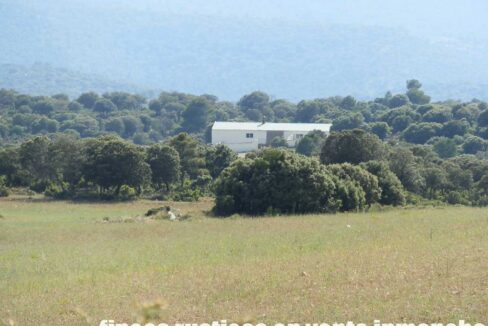 696_fincas-en-venta-24