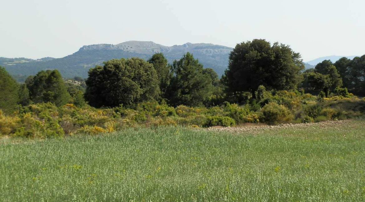 696_fincas-en-venta-26