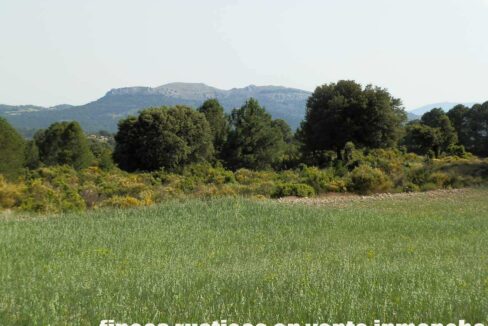 696_fincas-en-venta-26