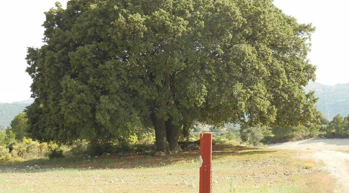 696_fincas-en-venta-27