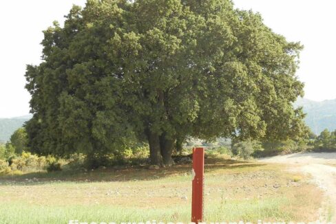 696_fincas-en-venta-27