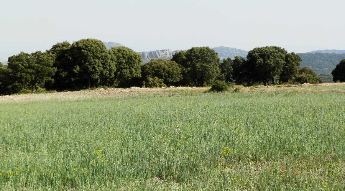 696_fincas-en-venta-28