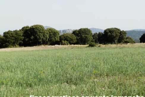 696_fincas-en-venta-28