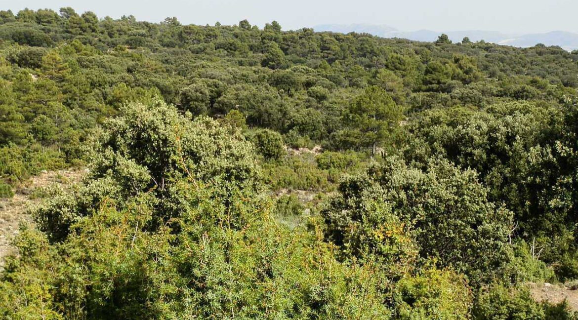 696_fincas-en-venta-29