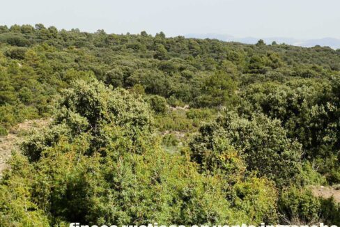 696_fincas-en-venta-29