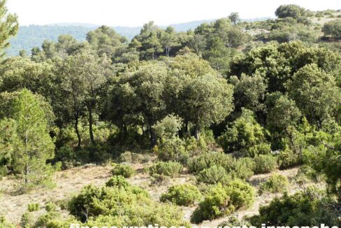 696_fincas-en-venta-30