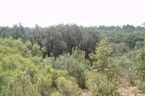 697_fincas-en-venta-10