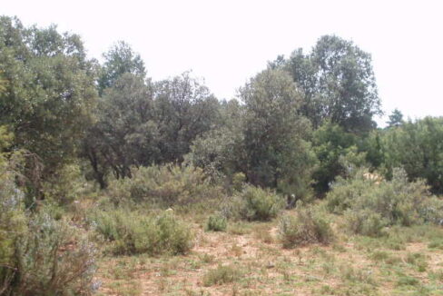 697_fincas-en-venta-11