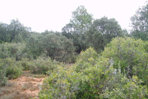 697_fincas-en-venta-12