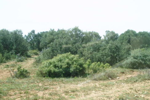 697_fincas-en-venta-14