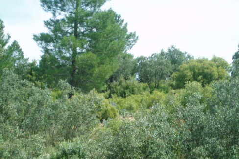 697_fincas-en-venta-15