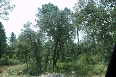 697_fincas-en-venta-16