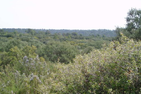 697_fincas-en-venta-18