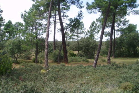 697_fincas-en-venta-19
