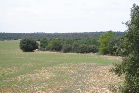 697_fincas-en-venta-21