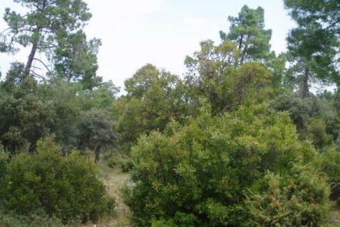 697_fincas-en-venta-22