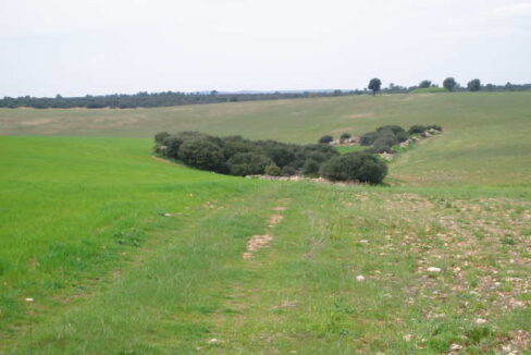 697_fincas-en-venta-24
