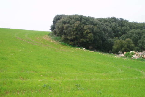 697_fincas-en-venta-25