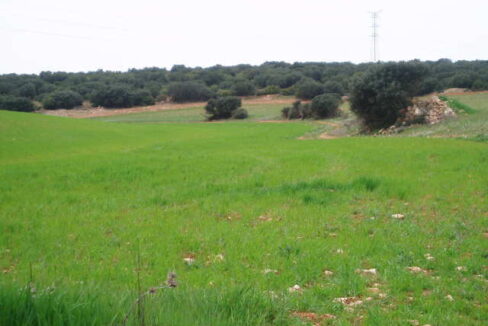 697_fincas-en-venta-26