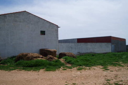 697_fincas-en-venta-4