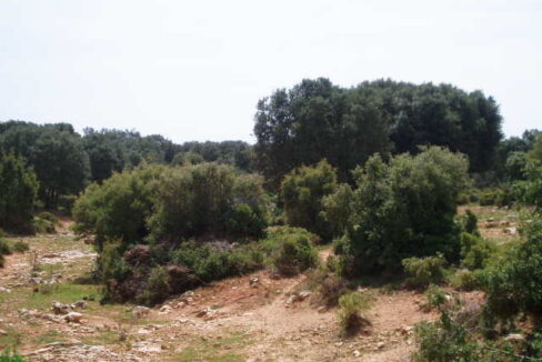 697_fincas-en-venta-9