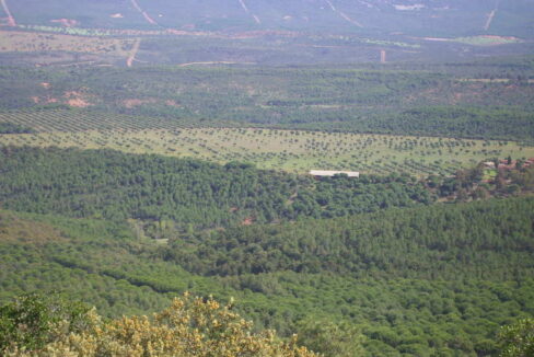 698_fincas-en-venta-10