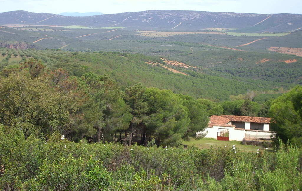 698_fincas-en-venta-13