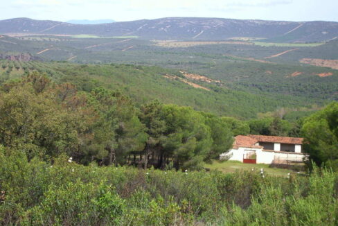 698_fincas-en-venta-13