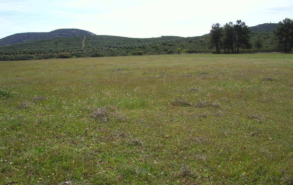 698_fincas-en-venta-17