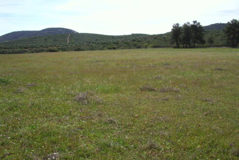 698_fincas-en-venta-17