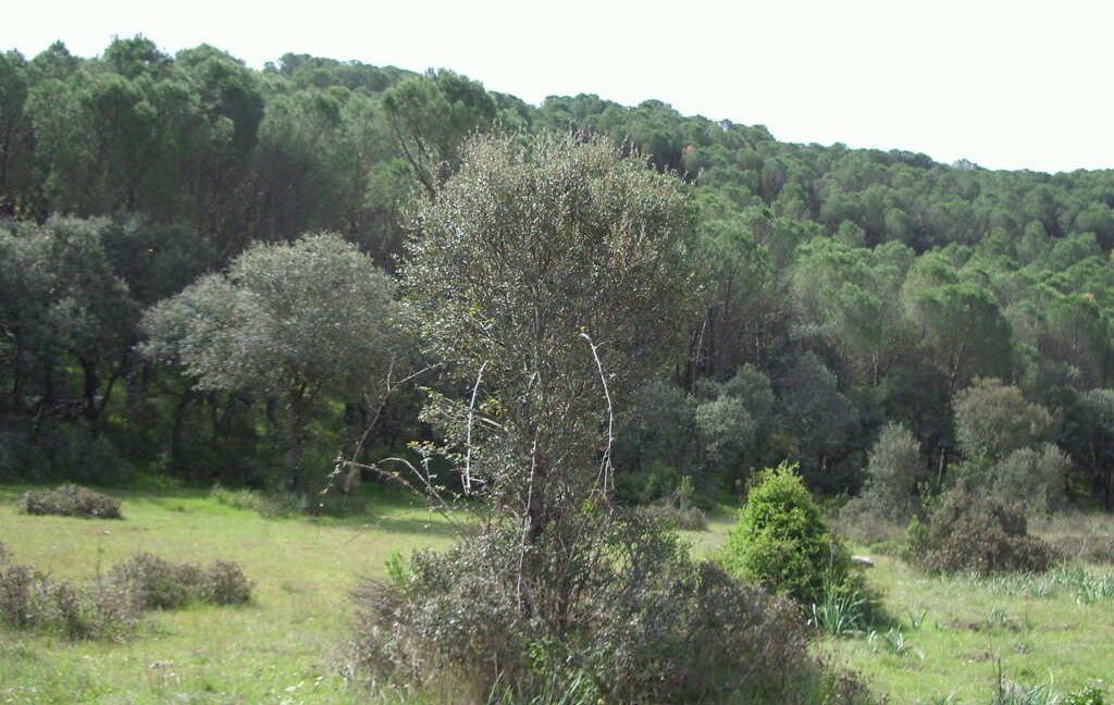 698_fincas-en-venta-23