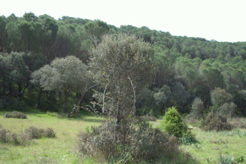 698_fincas-en-venta-23