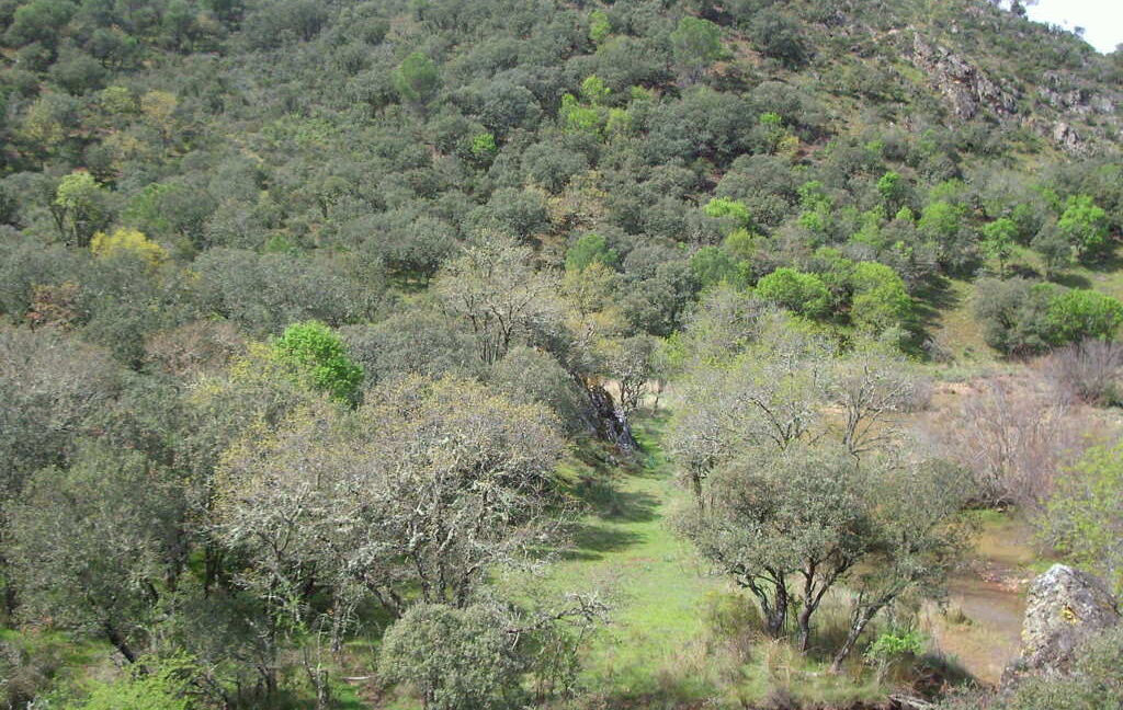 698_fincas-en-venta-26