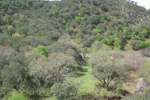 698_fincas-en-venta-26