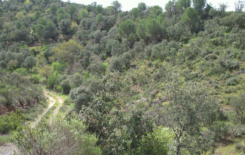698_fincas-en-venta-28