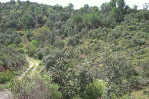 698_fincas-en-venta-28