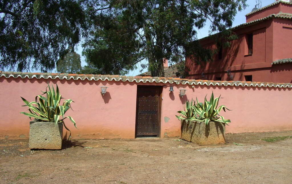 698_fincas-en-venta-29