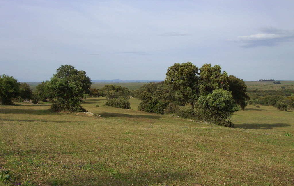 698_fincas-en-venta-40