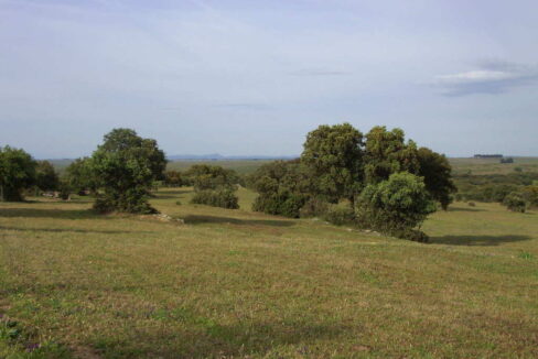 698_fincas-en-venta-40