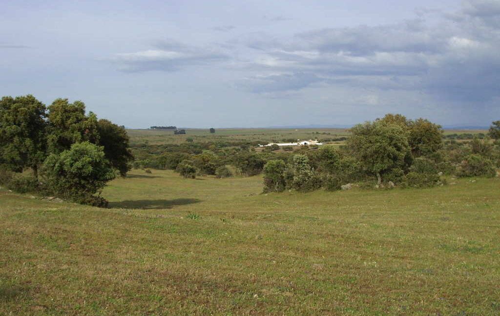 698_fincas-en-venta-41