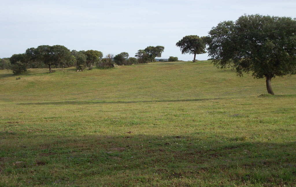 698_fincas-en-venta-45