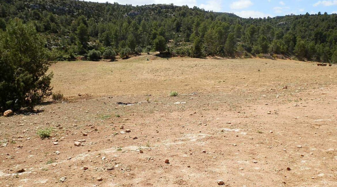 699_fincas-en-venta-004