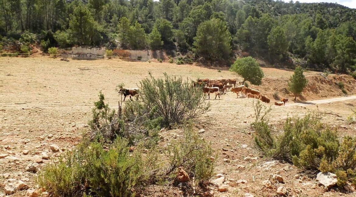 699_fincas-en-venta-005