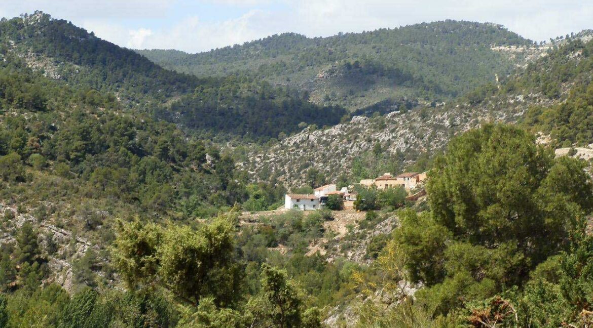 699_fincas-en-venta-006