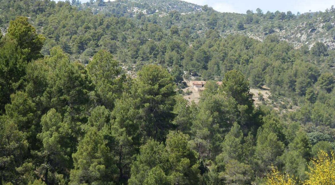 699_fincas-en-venta-008