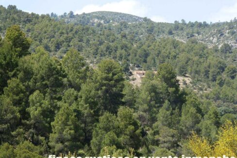 699_fincas-en-venta-008