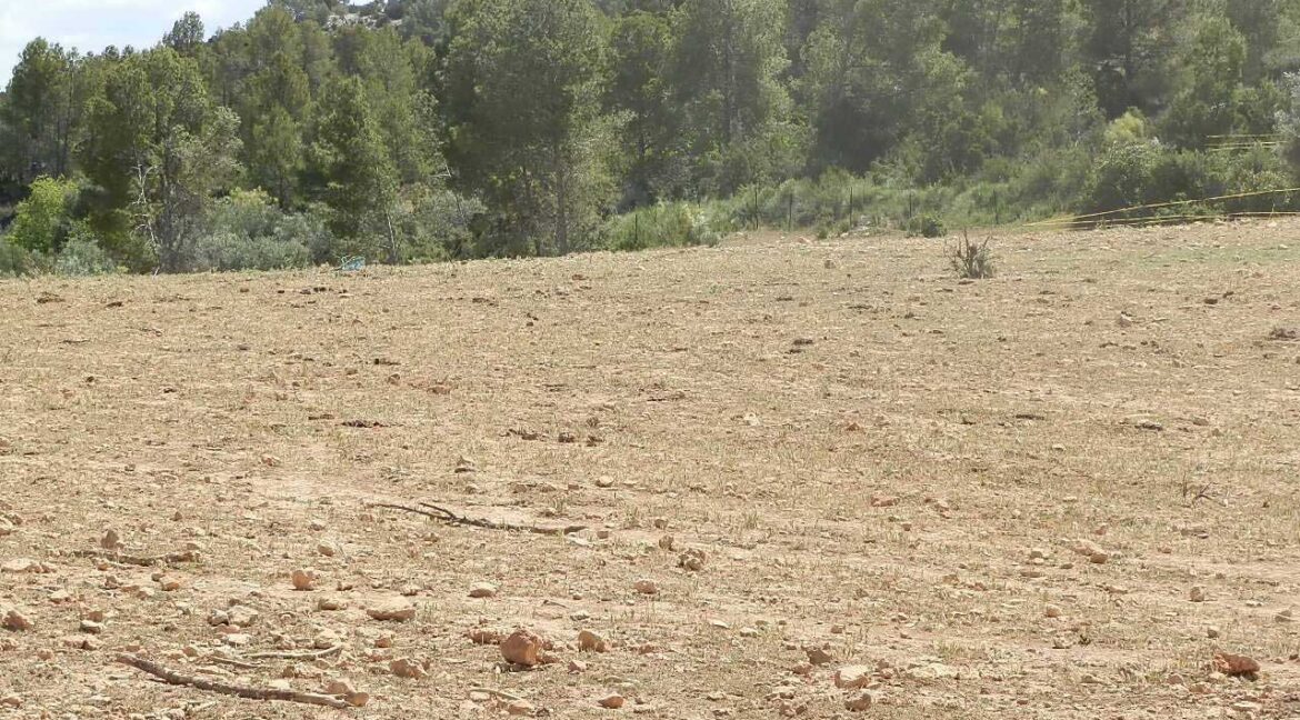 699_fincas-en-venta-009