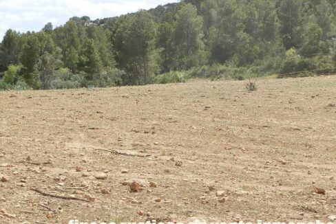 699_fincas-en-venta-009