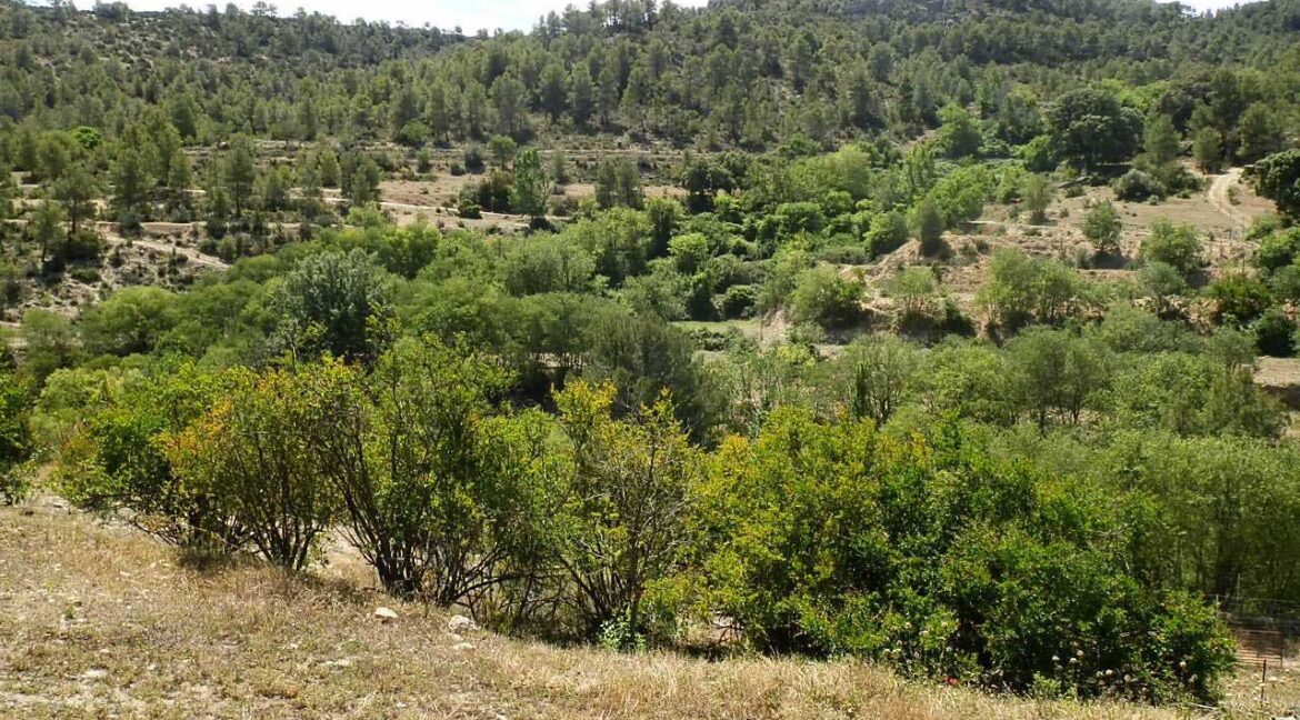 699_fincas-en-venta-010