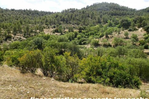 699_fincas-en-venta-010